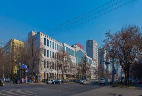 益阳优惠猫粮零食营养品哪里好